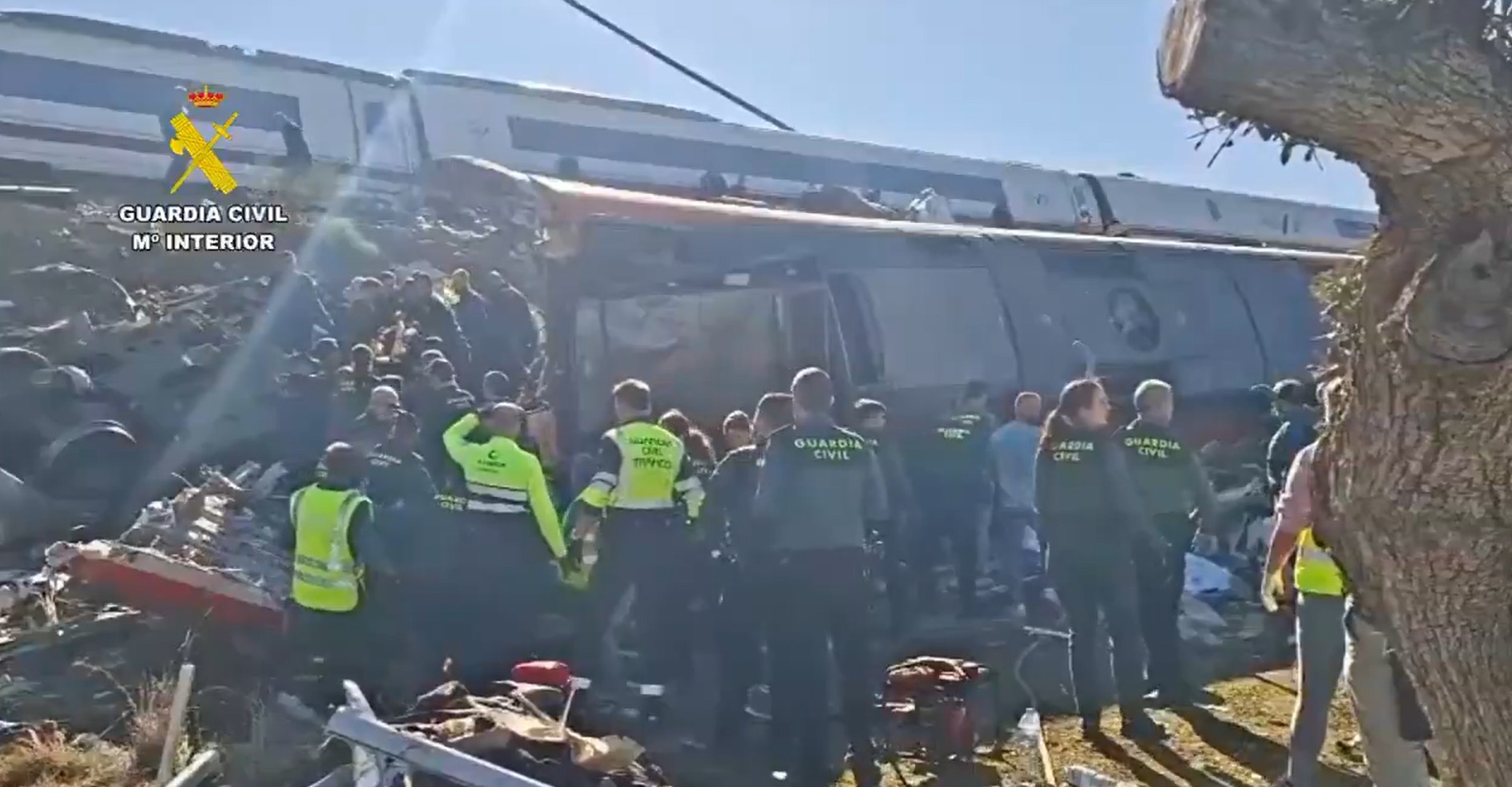 Captura de pantalla 2026-10-29 110416.jpg